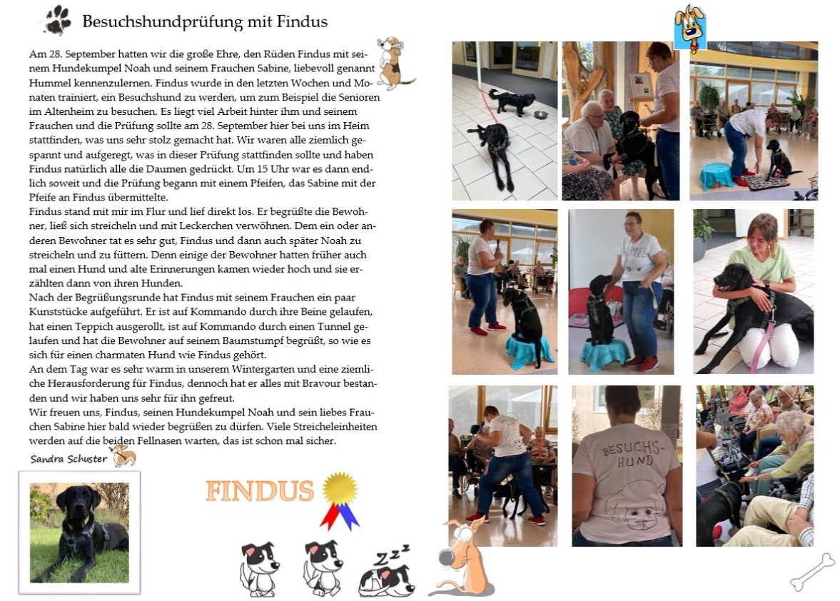 Besuchshundprüfung mit Findus Seite 2 imageonline.co merged